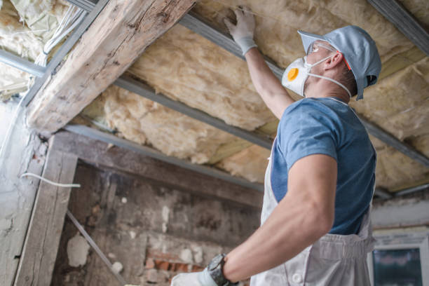 Best Insulation for Specific Applications in Homestead Meadows South, TX