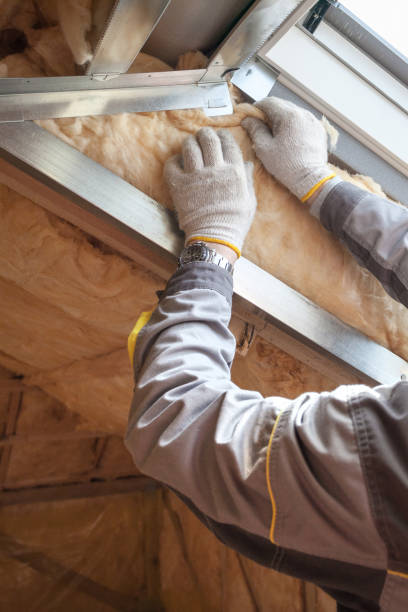 Best Commercial Insulation in Homestead Meadows South, TX