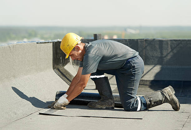 Best Specialty Insulation in Homestead Meadows South, TX